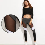 Wolph's Active Spliced Mesh design Yoga Pants